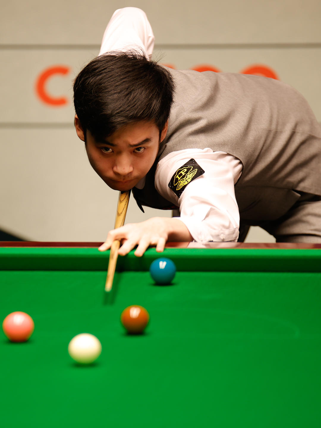 展现出更高 展现出更高