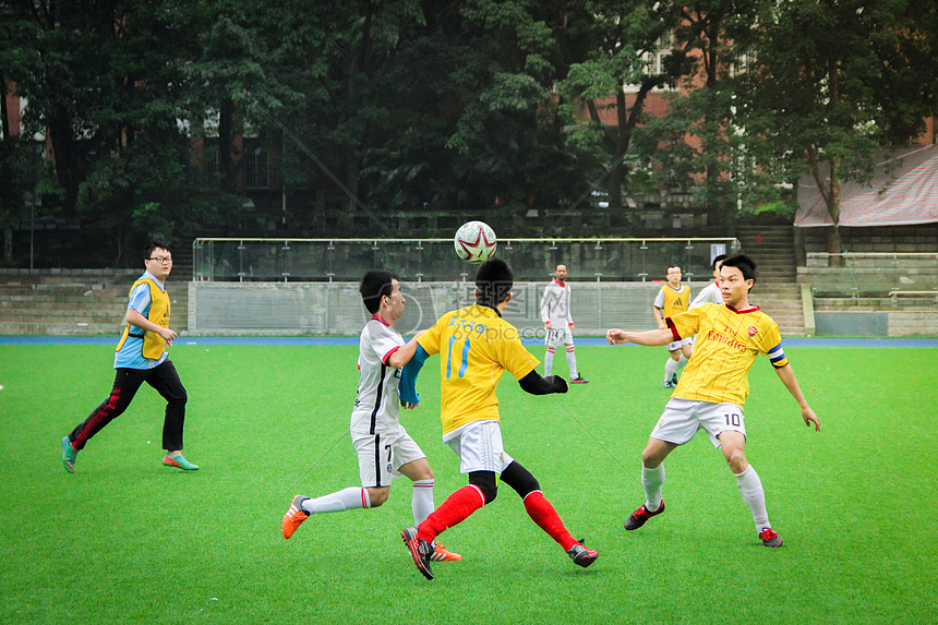 哈利波特 哈利波特